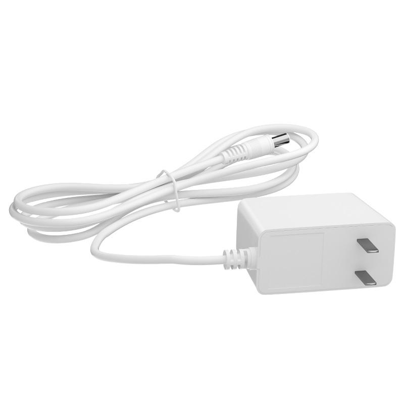 12V1A 中规卧插DC输出 4